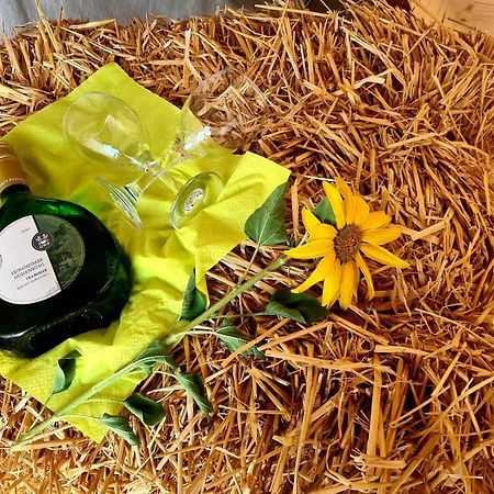 Schlaffass Mit Wellness In Alter Scheune Seinsheim Buitenkant foto